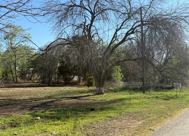 910  Chestnut, Jourdanton, TX 78026 — photo 3