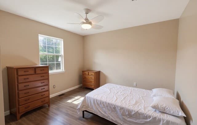 175  Lucy, New Braunfels, TX 78130 — photo 20