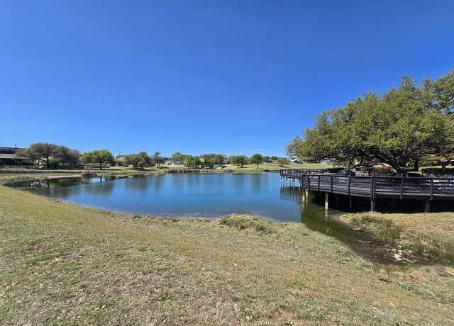 216  George Dolson, Blanco, TX 78606 — photo 12