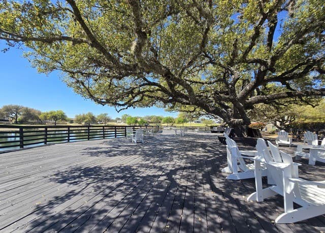 216  George Dolson, Blanco, TX 78606 — photo 9