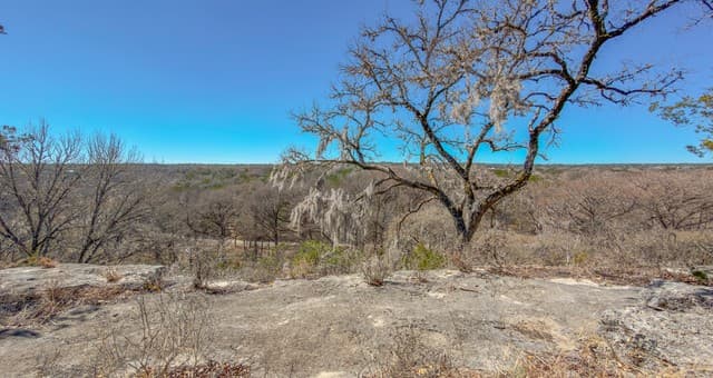1076  Blue Bonnet Hill, Spring Branch, TX 78070 — photo 7