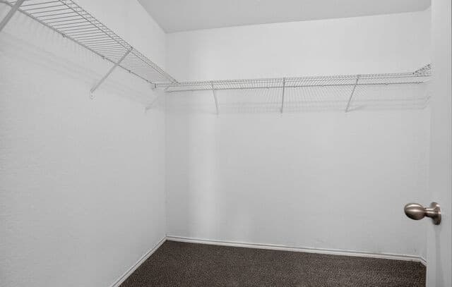 10407  Lupine Cyn, Helotes, TX 78023 — photo 25