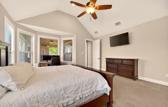 133  Mulhouse, Castroville, TX 78009 — photo 17