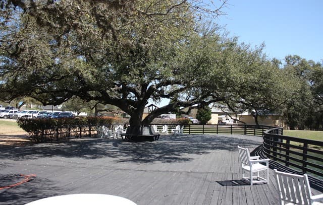 223 S Junius Peak, Blanco, TX 78606 — photo 5