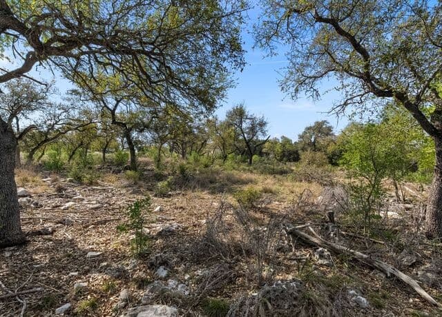 1333  Powder Ridge, New Braunfels, TX 78132 — photo 21