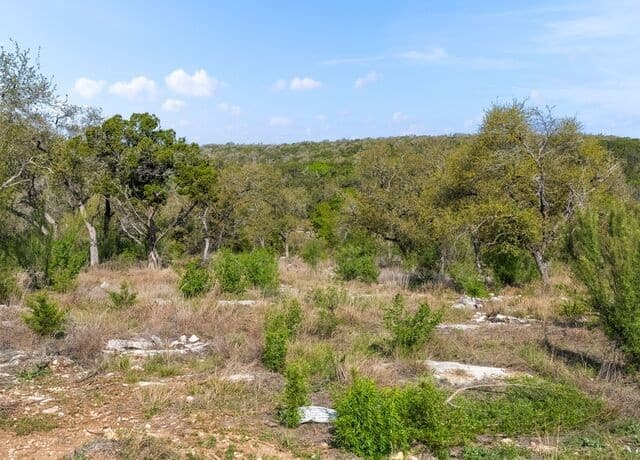 1333  Powder Ridge, New Braunfels, TX 78132 — photo 24