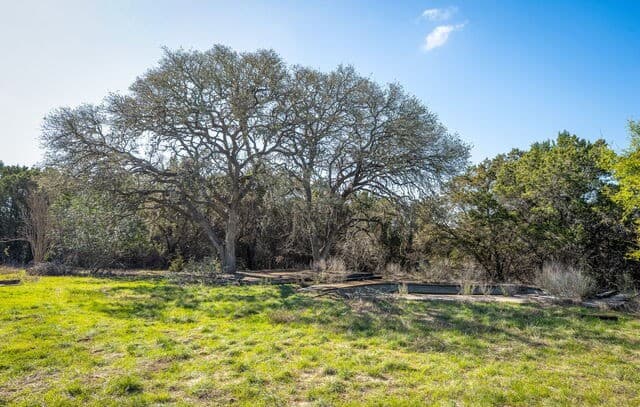 487  Old Bear Creek, New Braunfels, TX 78132 — photo 15