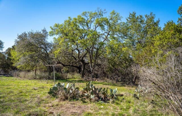 487  Old Bear Creek, New Braunfels, TX 78132 — photo 23
