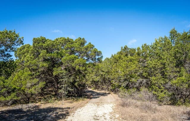 487  Old Bear Creek, New Braunfels, TX 78132 — photo 5