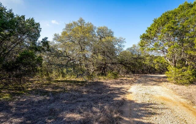 487  Old Bear Creek, New Braunfels, TX 78132 — photo 6