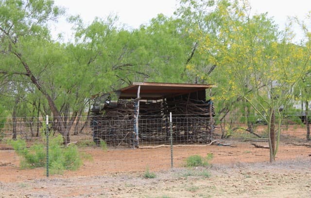 3554  Fm 1332, Jourdanton, TX 78026 — photo 21