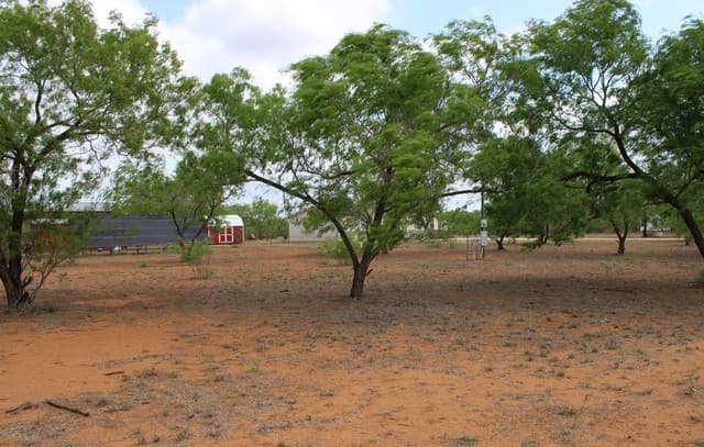 3554  Fm 1332, Jourdanton, TX 78026 — photo 24