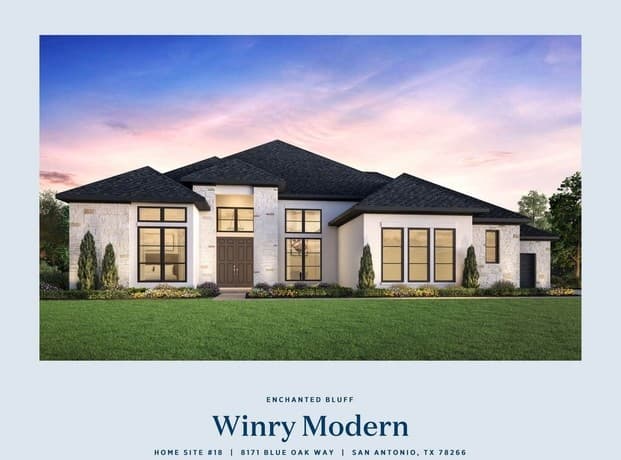 8171 Blue Oak