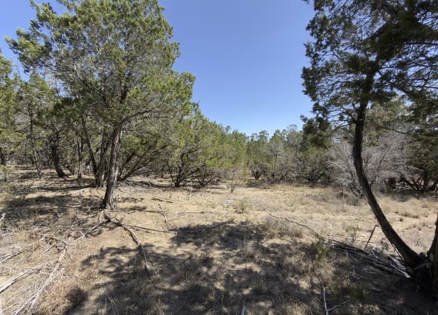 189  Campbell, Canyon Lake, TX 78133 — photo 4
