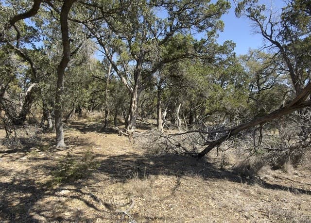 189  Campbell, Canyon Lake, TX 78133 — photo 8