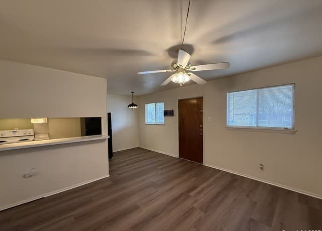 163  Richter, New Braunfels, TX 78130 — photo 4