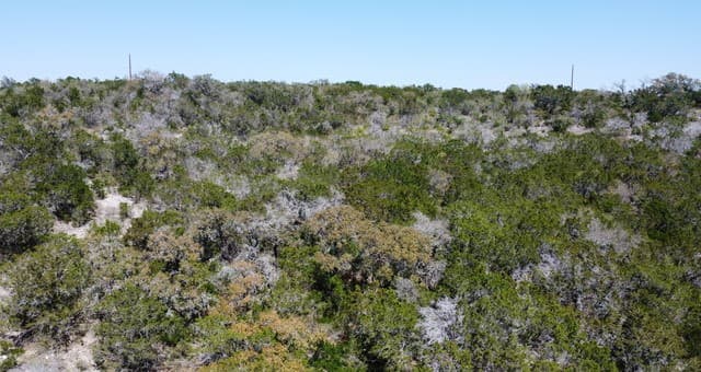 0000  County Road 243, Hondo, TX 78861 — photo 10