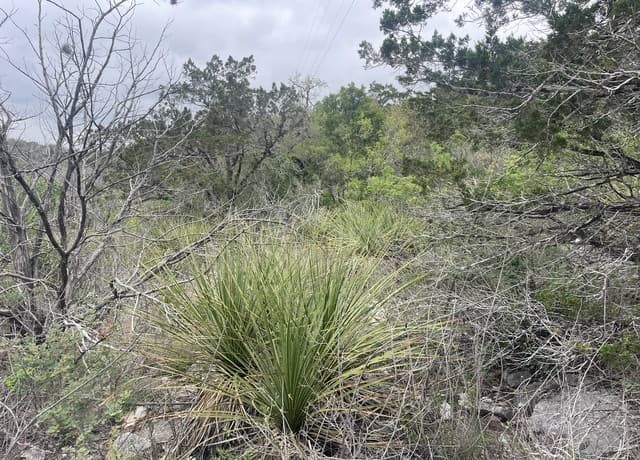 0000  County Road 243, Hondo, TX 78861 — photo 11