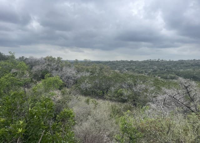 0000  County Road 243, Hondo, TX 78861 — photo 6