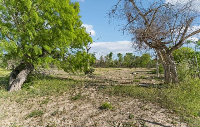 2320  Chavaneaux, San Antonio, TX 78214 — photo 11