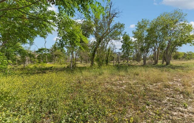 2320  Chavaneaux, San Antonio, TX 78214 — photo 4