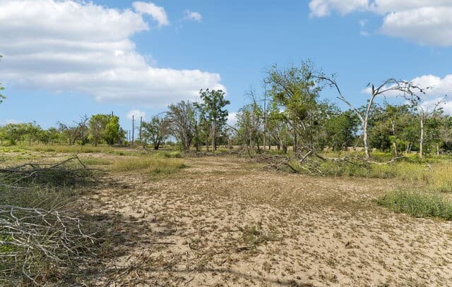 2320  Chavaneaux, San Antonio, TX 78214 — photo 7