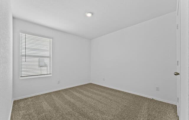 4263  Marjoram Landing, Von Ormy, TX 78073 — photo 11