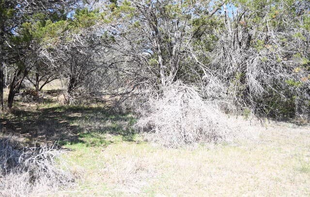1361  Hidden Valley, Spring Branch, TX 78070 — photo 10
