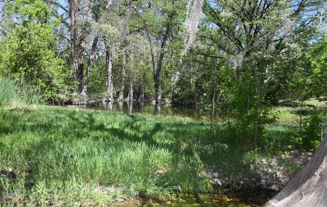 1361  Hidden Valley, Spring Branch, TX 78070 — photo 11