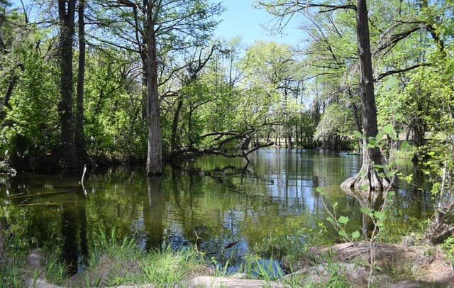 1361  Hidden Valley, Spring Branch, TX 78070 — photo 23