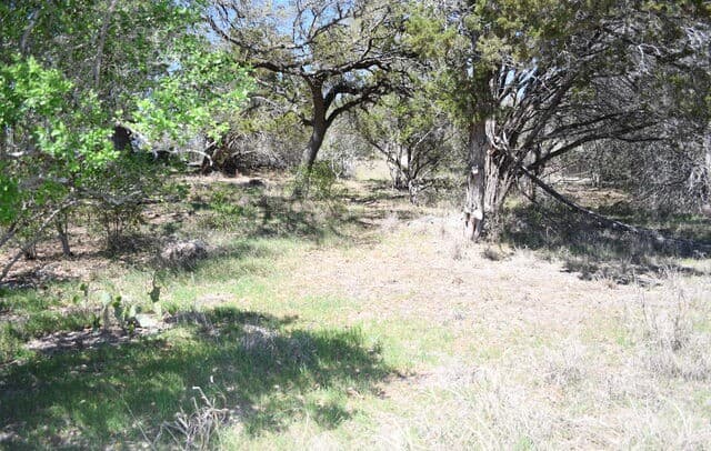 1361  Hidden Valley, Spring Branch, TX 78070 — photo 3