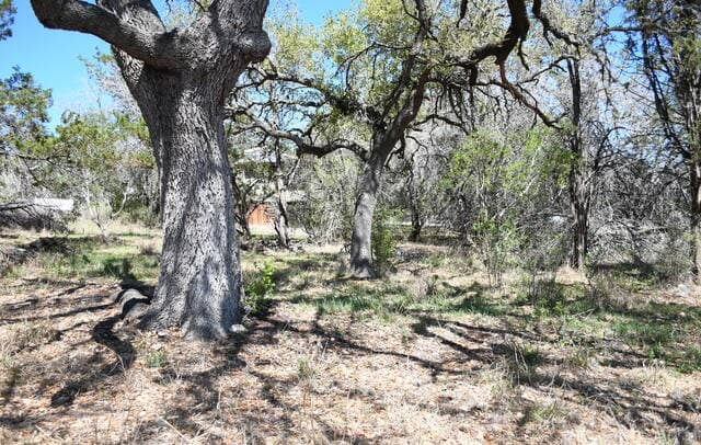 1361  Hidden Valley, Spring Branch, TX 78070 — photo 4