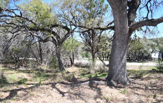 1361  Hidden Valley, Spring Branch, TX 78070 — photo 5