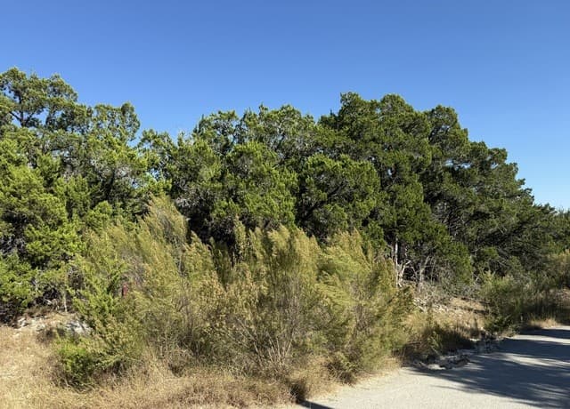 LOT 90  Deer Creek, Spring Branch, TX 78070 — photo 3