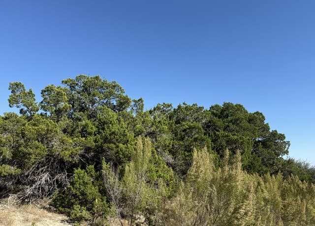 LOT 90  Deer Creek, Spring Branch, TX 78070 — photo 4