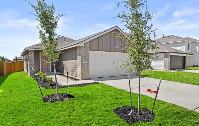 15427 Mint Patch Meadow