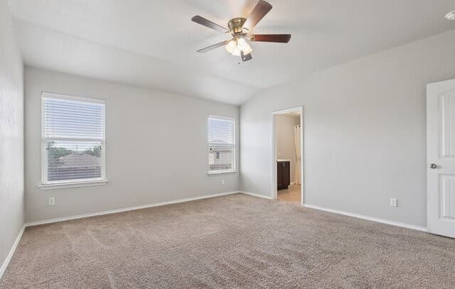 7426  Galileo Line, San Antonio, TX 78252 — photo 13
