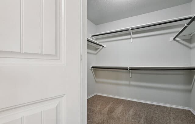 7426  Galileo Line, San Antonio, TX 78252 — photo 18