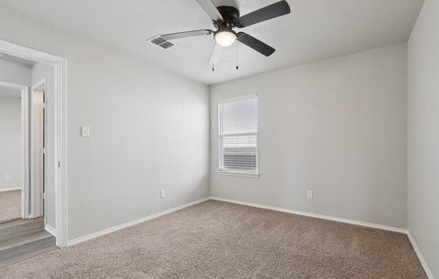 7426  Galileo Line, San Antonio, TX 78252 — photo 21