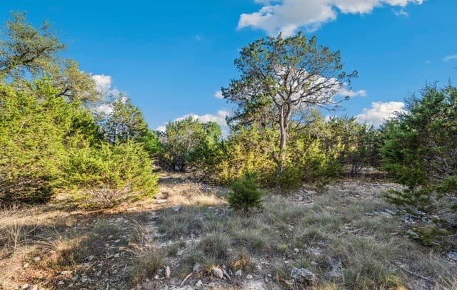 0  Riverwood, Boerne, TX 78006 — photo 11