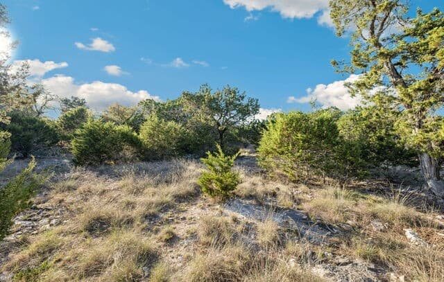 0  Riverwood, Boerne, TX 78006 — photo 12