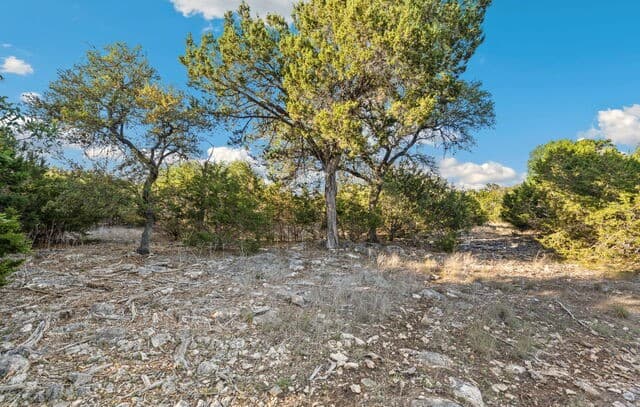 0  Riverwood, Boerne, TX 78006 — photo 2