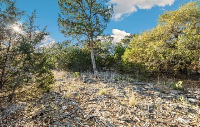 0  Riverwood, Boerne, TX 78006 — photo 7