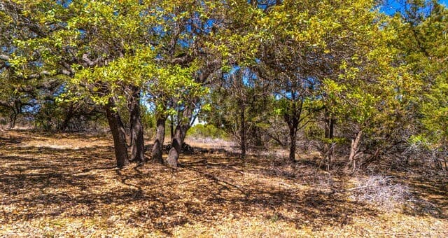 360  Palomino Springs, Bandera, TX 78003 — photo 2