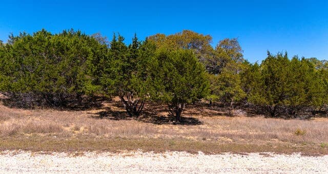 360  Palomino Springs, Bandera, TX 78003 — photo 6