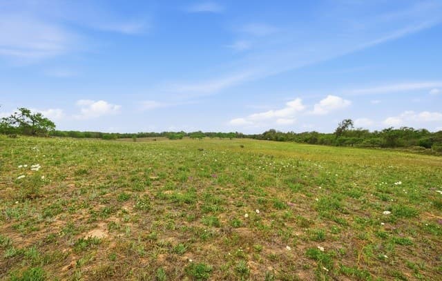 970  Stevens Rd, Somerset, TX 78069 — photo 12