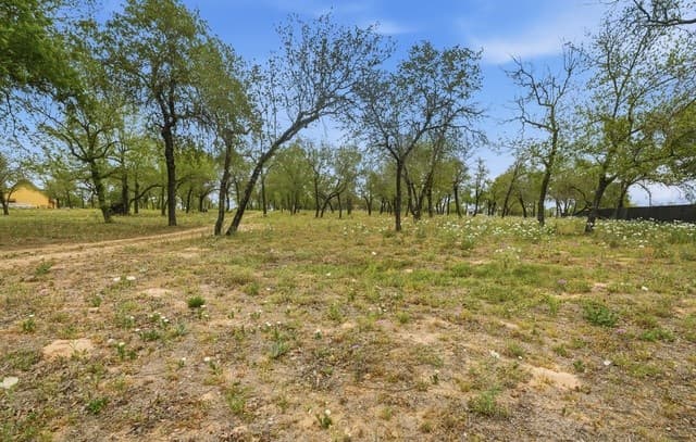 970  Stevens Rd, Somerset, TX 78069 — photo 4