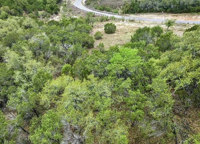 379  Cloudveil, New Braunfels, TX 78132 — photo 8