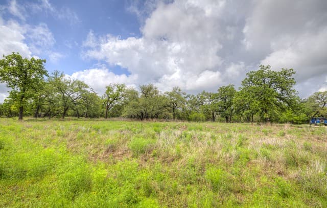 1251 Trailhead