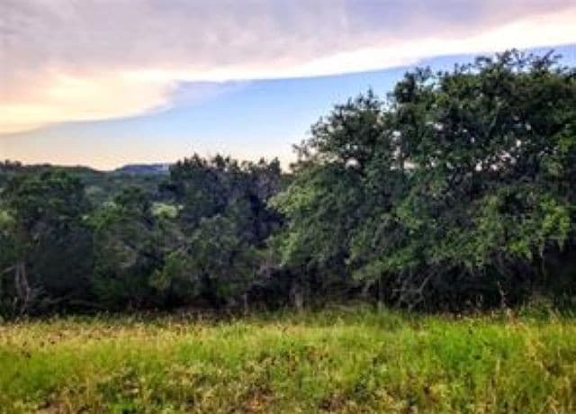 628  Angelica Vista, Canyon Lake, TX 78133 — photo 3